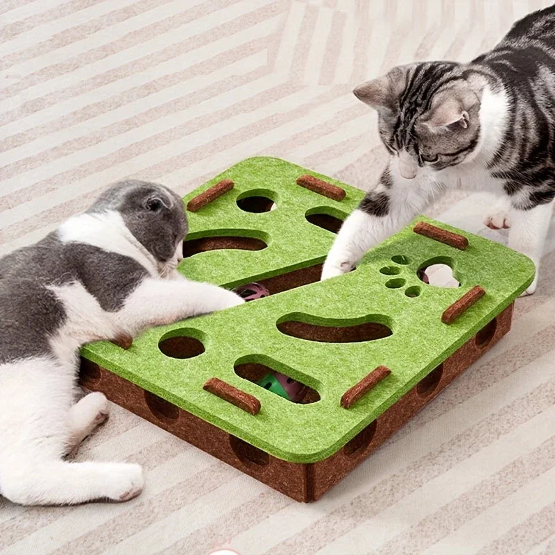 Paw Puzzle